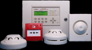 We beat any quote on all