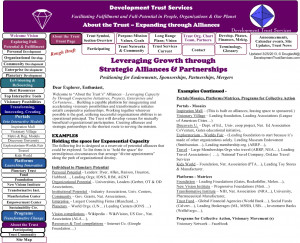 Sample Alliances & Strategic Partnerships 3-26-2013