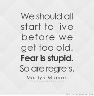 We should all start to live before we get too old. Fear is stupid. So ...
