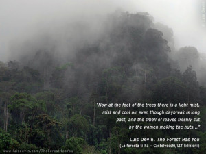 Rainforest fog, from Luis Devin's anthropological research in Central ...