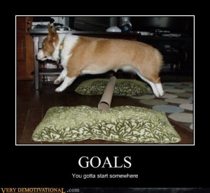 Goals: You have to start somewhere. It's a step, baby step, but a step ...