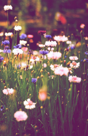 flower hippie tumblr backgrounds
