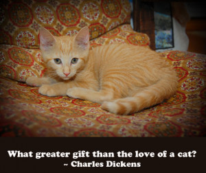 Cat Quotes: Charles Dickens