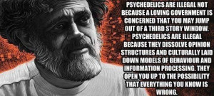 Terence McKenna shares the REAL REASON why the government doesn’t ...