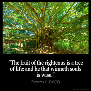 Proverbs 11:30 Inspirational Image