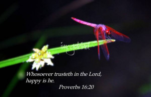 bible verses gardening