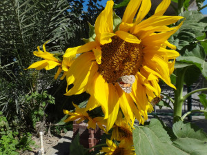 Sunny Spring Day Quotes A sunny spring day