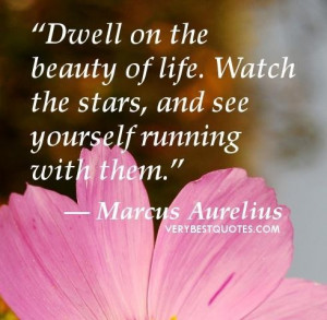 Life quotes dwell on the beauty of life. watch the stars and see ...