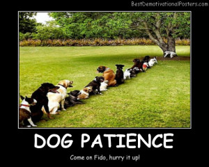 Dogs Patience funny Best Demotivational Posters