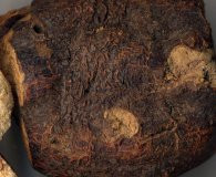 ... · Wrath Of The Titans Zeus Lightning Bolt · Tommy Gavin Quotes