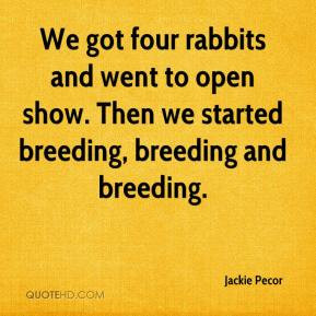 Rabbits Quotes