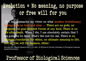 God Creation and the Cosmos