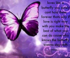 Butterfly Quotes About Love