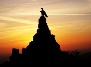 Wanna Get More Liberty? You Have the Power Voter