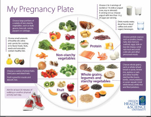 ... My Pregnancy Plate': a blueprint for healthy eating during pregnancy