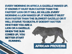 African Proverb Lion African proverb: lion and