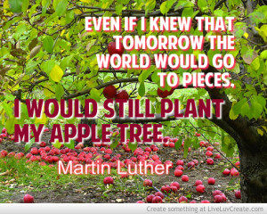 still_plant_my_tree_-_martin_luther_quote-527257.jpg?i