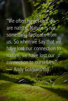 Andy Goldsworthy #quote More