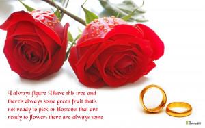 Red flowers quotes wallpapers