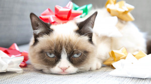 ... or Grumpy Cat, there's nothing wonderful about this time of the year