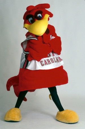 Cocky is the mascot of the University of South Carolina.Cocky Reading ...