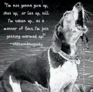 Coon Hunt With 1 Dog 3 00 2 Dogs 50 Free Download Tattoo 18892 Picture