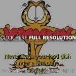 ... meal, funny, pics garfield, quotes, sayings, cat, food dish, birds