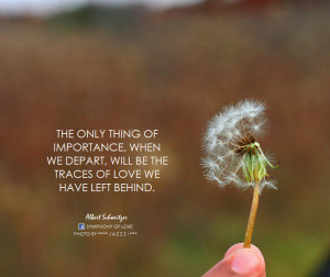 25 Cute Love Quotes For Valentine’s Day