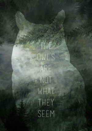The Owls are not what they appear