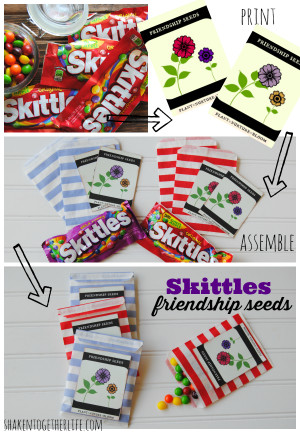How to make Skittles friendship seeds and cute seed packet printable!