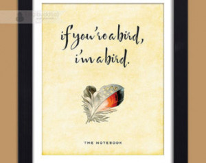 The Notebook Movie Quotes Bird Feather the notebook movie