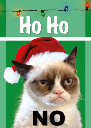 ... grumpy cat on christmas christmas grumpy cat christmas grumpy cat