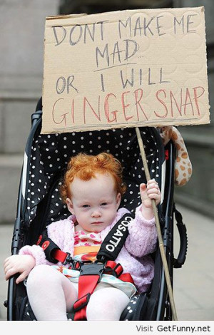 Funny ginger sayings - Funny Pictures, Funny Quotes, Funny Memes ...