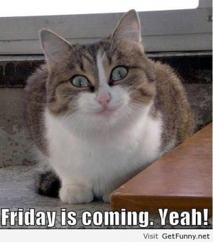 Friday is coming - Funny Pictures, Funny Quotes, Funny Memes, Funny ...