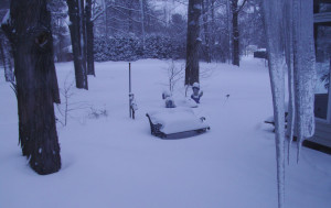 Snow, Snow, Snow and Icicles this February!