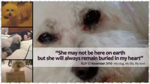 Quotes About Dogs Passing Away