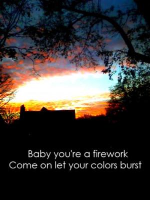Famous Firework Quotes http://www.pic2fly.com/Famous+Firework+Quotes ...