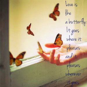 ... butterfly love quotes and sayings that might be an encouragement to us