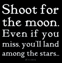 Shoot for the Moon. Even if you miss, you'll land amoung the stars.