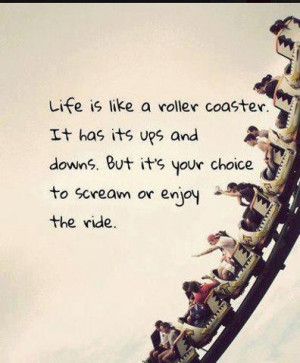... and downs. But its your choice to scream or enjoy the ride.