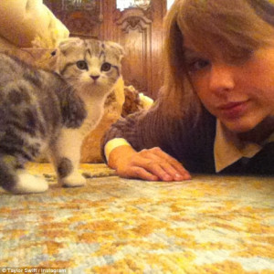 Cute accessory! Taylor Swift is the cat's meow as she takes her cuddly ...