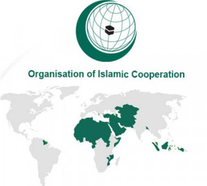 ... Organization of Islamic Cooperation must take an unequivocal stand