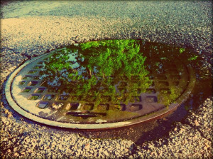 Uploaded to Pinterest