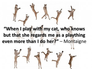 ... She Regards Me As A Plaything Even More Than I Do Her ” - Montaigne