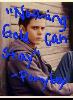 Love this quote said by Ponyboy Curtis in The Outsiders!!