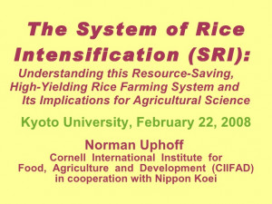 0819 The System of Rice Intensification (SRI): Understanding this