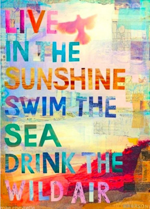 summer quote