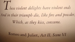 Lipstick and TUK's: Diary of Fallen Star