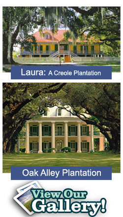 New Orleans Plantation Tours