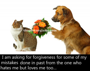 Cat And Dog Picture With Romantic Sayings Image About Sorry